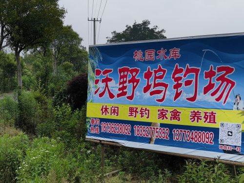 沃野坞钓场钓场环境照片