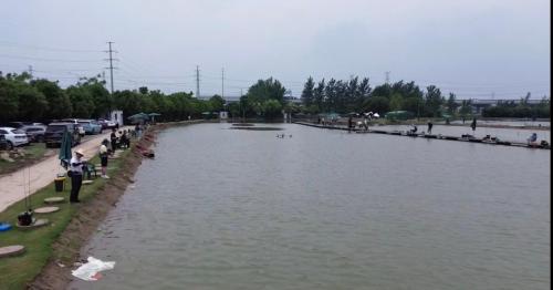 鲈太翘路亚俱乐部(浦东店)钓场环境照片