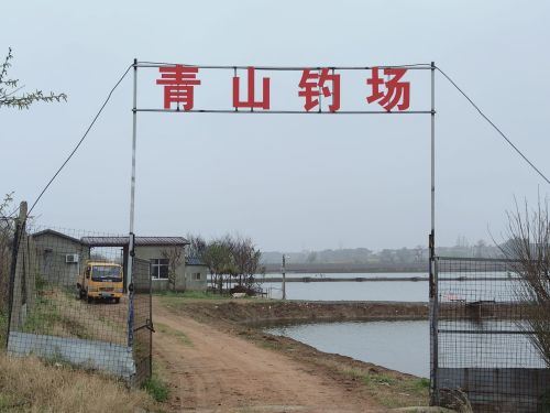 青山钓场钓场环境照片
