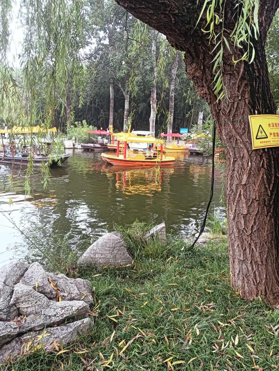 东方大物池钓场环境照片