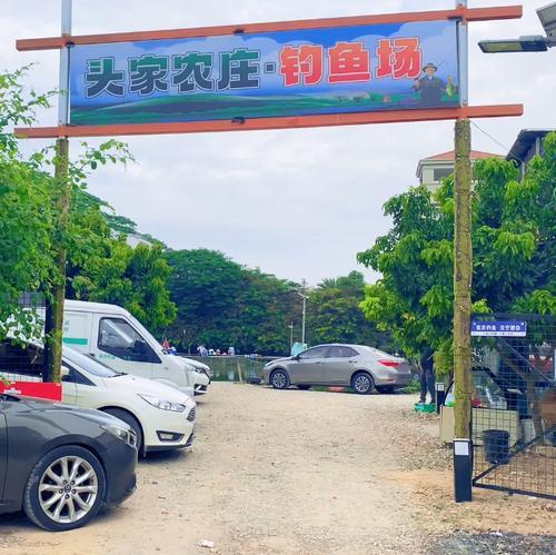头家垂钓山庄钓场环境照片