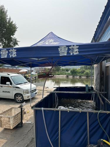 合悦塘垂钓园钓场环境照片