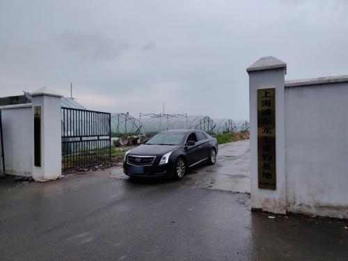 上海浦东龙王垂钓基地钓场环境照片