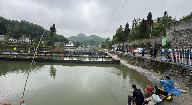 垂柳山庄休闲垂钓中心钓场环境照片