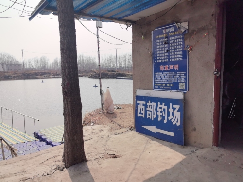江湖鱼舍兰山区西部钓场钓场环境照片