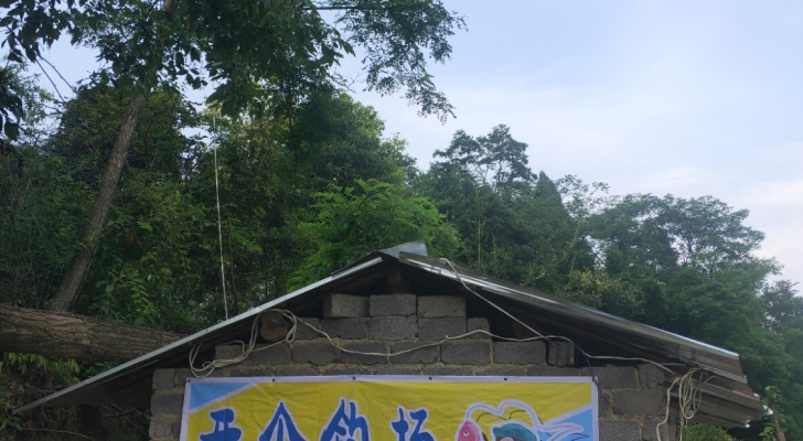 开个钓场让你来盘钓场环境照片