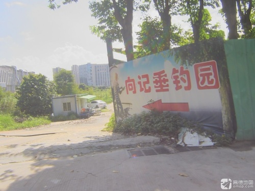 向记垂钓园钓场环境照片