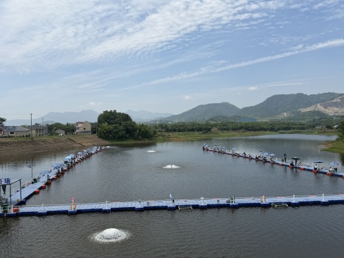老虎洞鲢鳙垂钓基地钓场环境照片