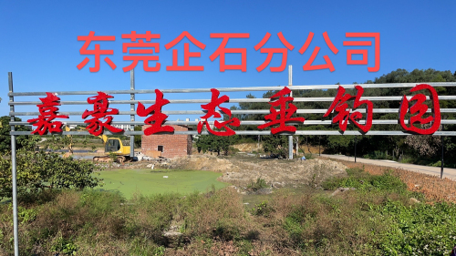 嘉豪生态垂钓园钓场环境照片