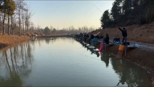 太湖县乐渔垂钓中心钓场环境照片
