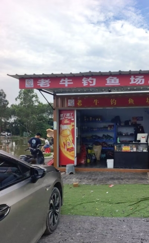 老牛钓鱼场(狮山店)钓场环境照片