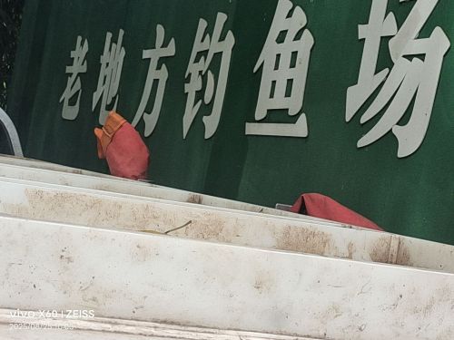 老地方钓鱼场(高坪店)钓场环境照片