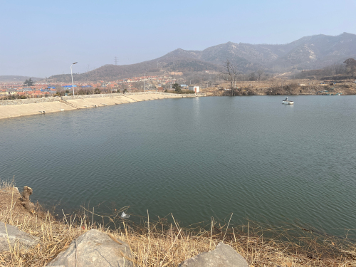 小庄村南槽水库钓场钓场环境照片