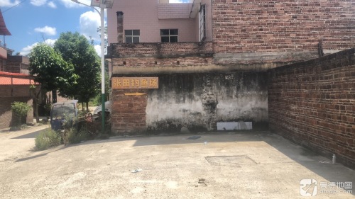 张田钓鱼场钓场环境照片