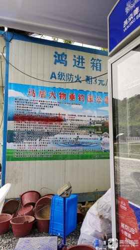 马后大物休闲垂钓园钓场环境照片