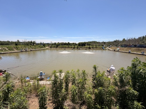 齐河趣野垂钓基地钓场环境照片