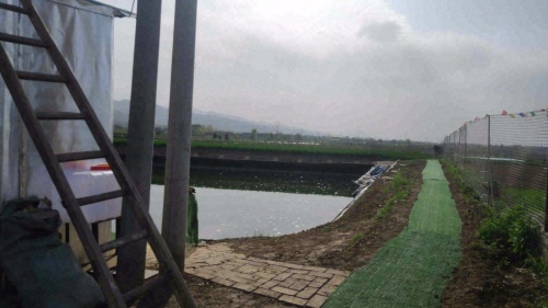 渔乐园垂钓基地钓场环境照片