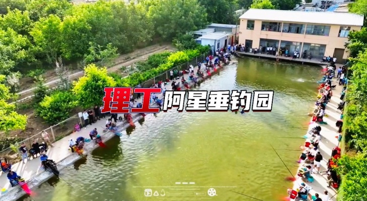 理工阿星垂钓园钓场环境照片