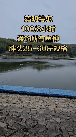 西岙水库垂钓中心钓场环境照片