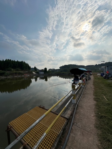 静逸湾青鱼鲢鳙钓场钓场环境照片