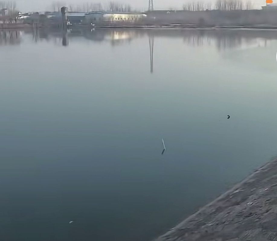 滁州大表哥垂钓中心钓场环境照片