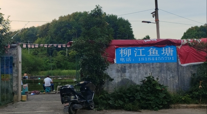 柳江鱼塘钓场环境照片