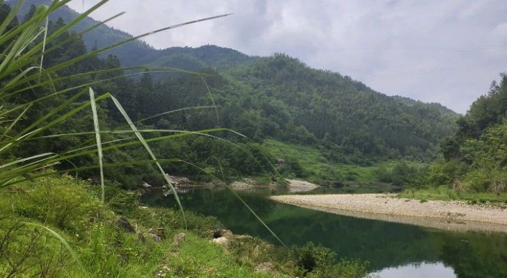 2号垂钓区钓场环境照片