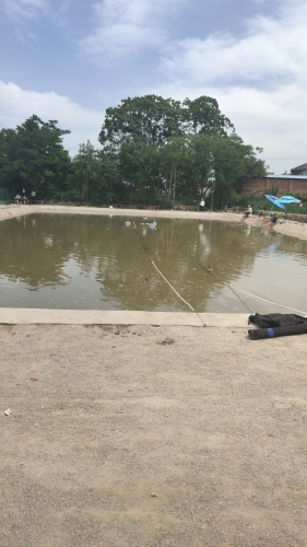 渔人之家烧烤垂钓园钓场环境照片