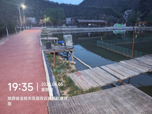 金鳞大物垂钓园钓场环境照片