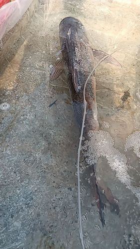 众渔钓场钓场环境照片