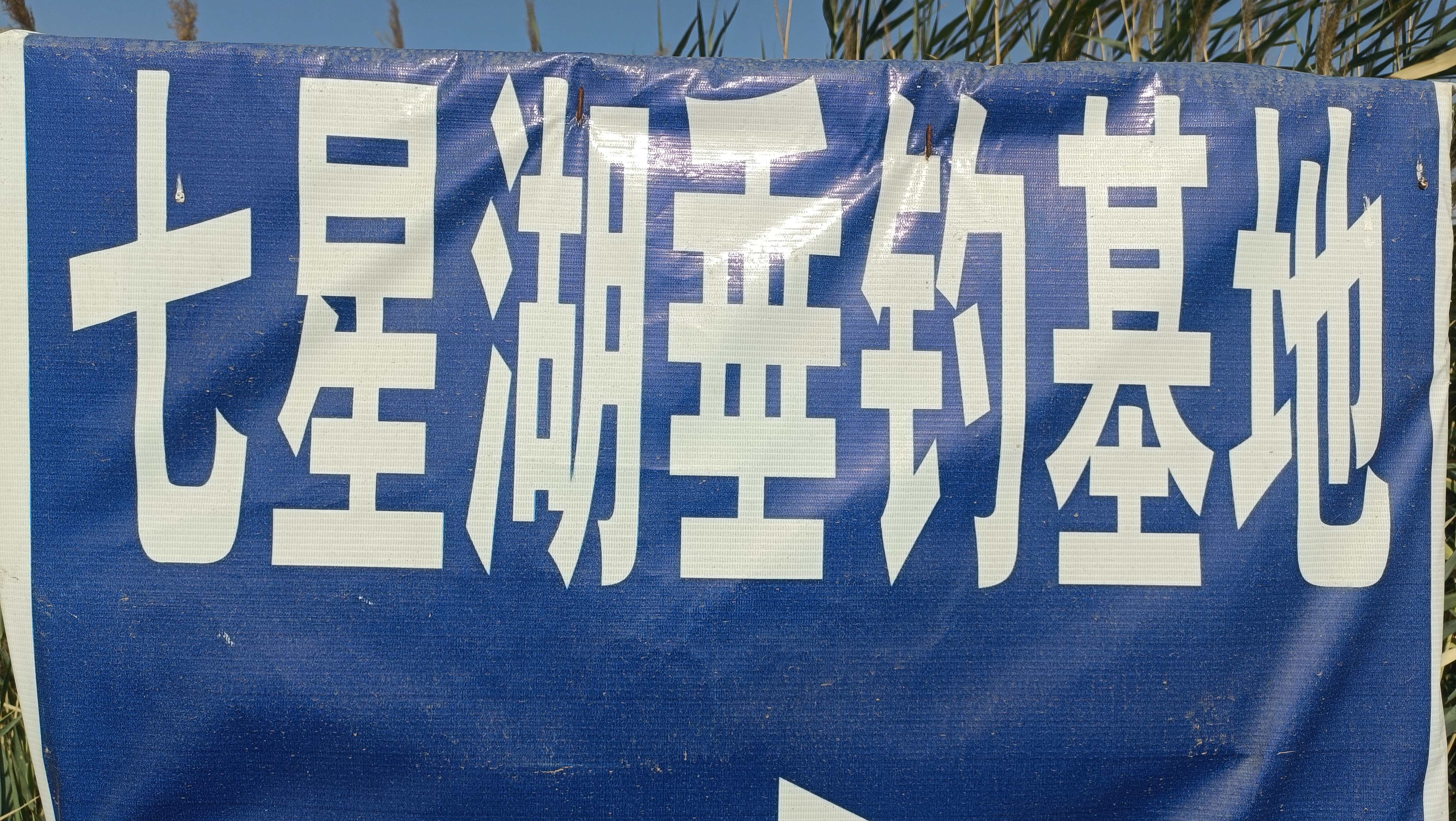 七星湖垂钓基地钓场环境照片