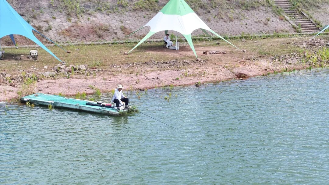 金澧湖免费露营钓鱼点钓场环境照片