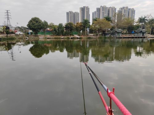 好顺景钓鱼场钓场环境照片