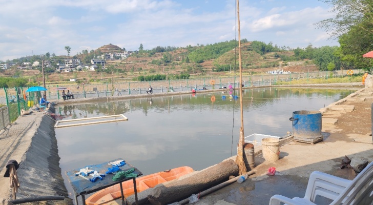波哥渔乐垂钓园钓场环境照片