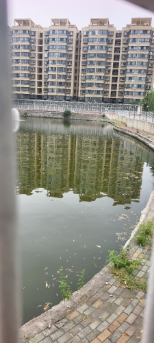 锦桥花园垂钓园钓场环境照片