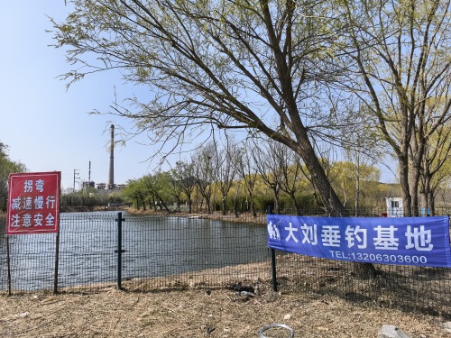 大刘垂钓基地钓场环境照片