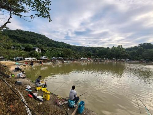 深圳龙岗森鼎钓鱼场钓场环境照片