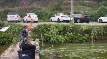 有渔钓场钓场环境照片