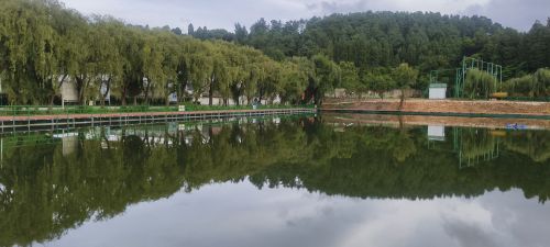 新星国际垂钓俱乐部钓场环境照片