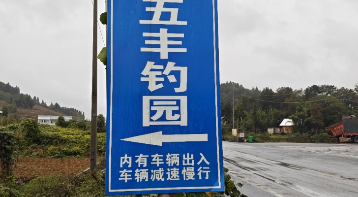 五丰钓园钓场环境照片