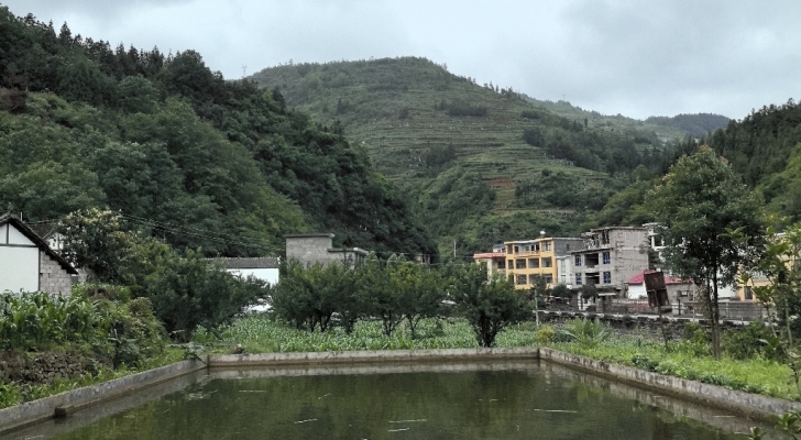 一坐一忘垂钓园钓场环境照片