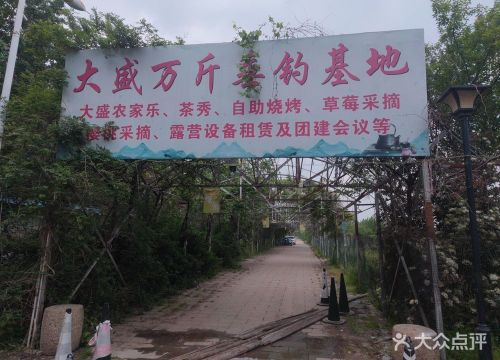 大盛万斤垂钓基地钓场环境照片