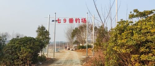 七9钓场钓场环境照片