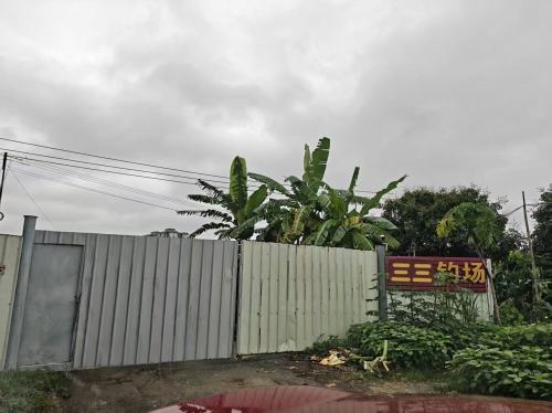 三三垂钓场钓场环境照片