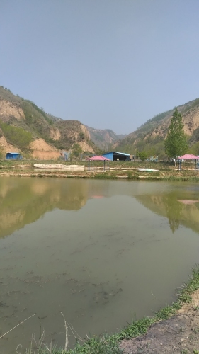 延明山庄神羊泉亲子乐园钓场环境照片