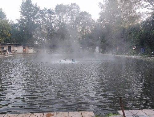 欢乐汇垂钓基地钓场环境照片