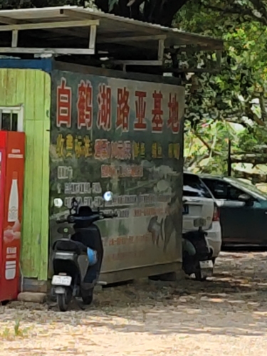白鹤湖路亚基地钓场环境照片