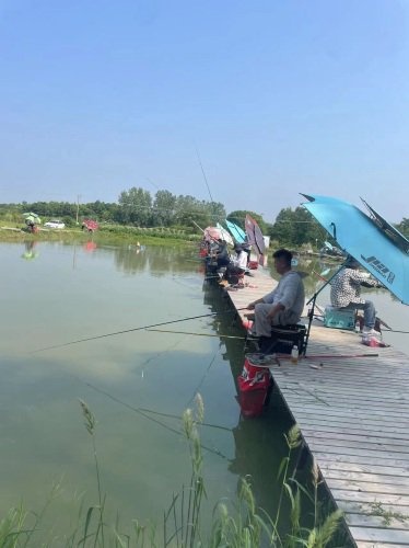 阿忠垂钓园钓场环境照片