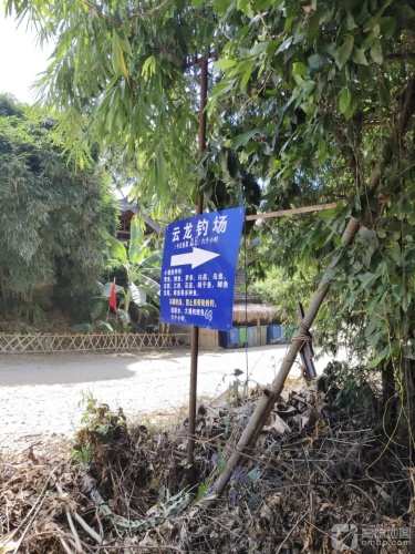 云龙钓场钓场环境照片