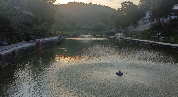 罗家湾休闲垂钓场钓场环境照片